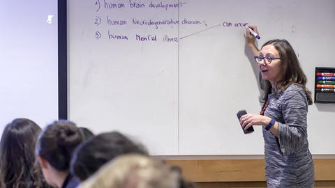 Paola Arlotta writing on the whiteboard