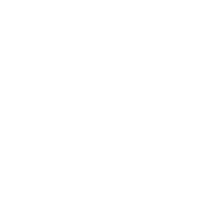 icon framing the discussion
