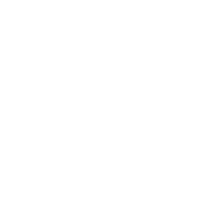 Icon: Pathway 1